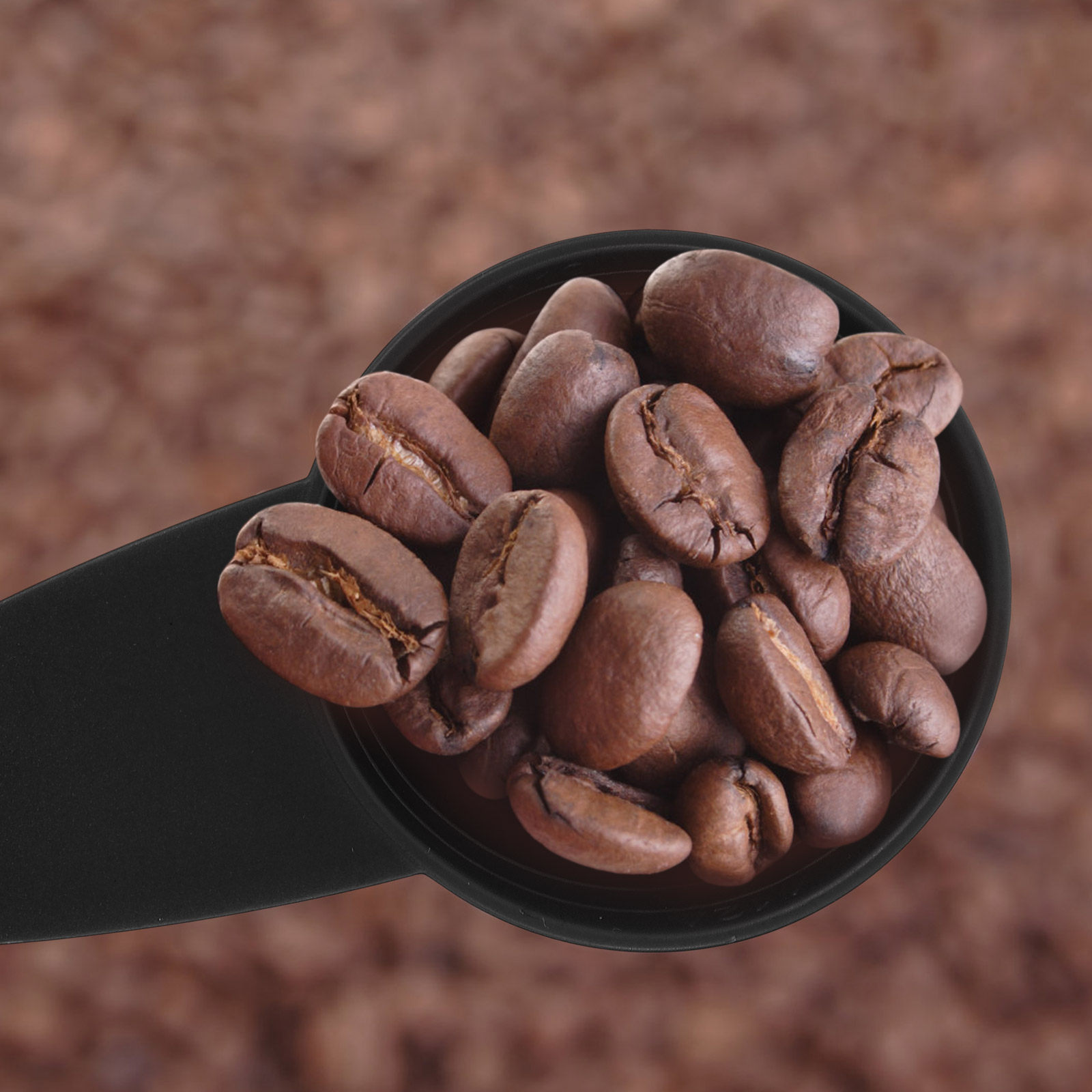 5Pcs Measure Spoon Long Handle - Coffee Tea Sugar incelemesi ve fiyatı