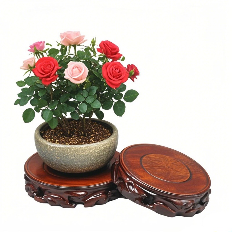 Wooden Plant Saucer & Flower P - Coffee Tea Garden incelemesi ve fiyatı
